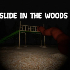 Slide In The Woods